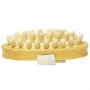 Brosse Massage Anti-Cellulite en Bois