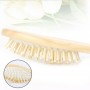 Brosse Cheveux Picots Bois