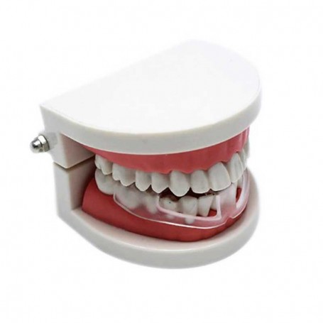 FASBET Gouttière Dentaire Anti Bruxisme Lot de 4 Avec boîte de Rangement,  Gouttiere Dentaire Goutiere Dent Alignement Dentaire Kits Dentaires  Aligneur Dentaire Adulte Protecteurs Buccaux : : Hygiène et Santé
