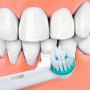 X4 Têtes pour brosse à dent Électrique